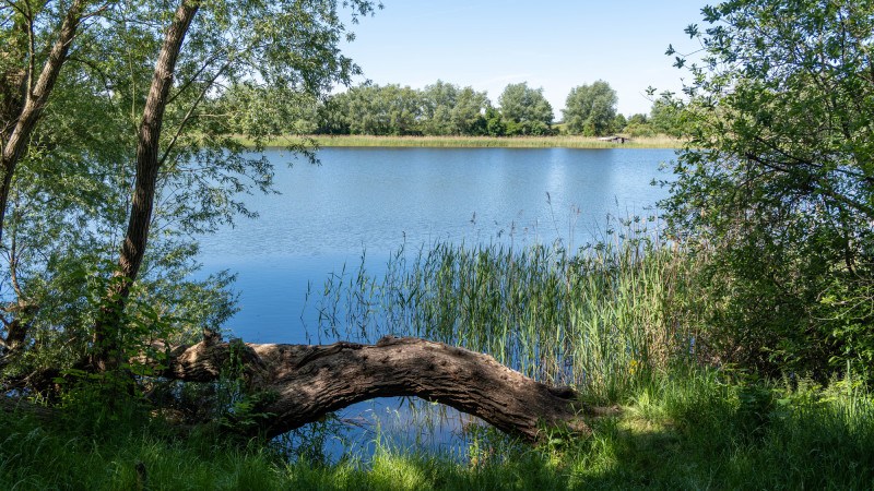 ©️ Depositphotos.com