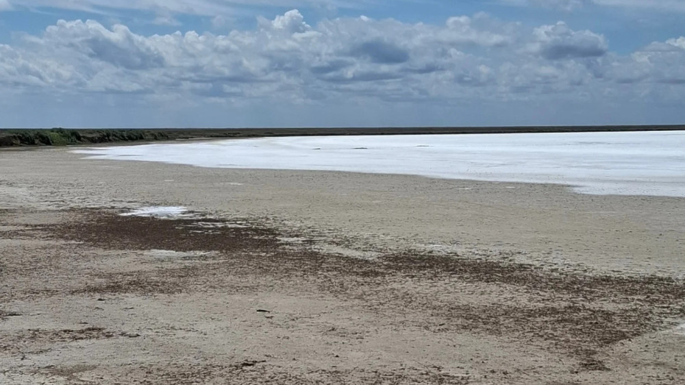 Salt plains mistaken for snow spotted in Korgalzhyn Nature Reserve