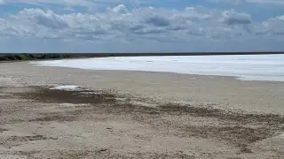 Salt plains mistaken for snow spotted in Korgalzhyn Nature Reserve