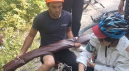 Another injured foreign tourist rescued near Big Almaty Lake