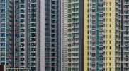 “Aren’t we living like ants?“ Vice Minister faces pressing question