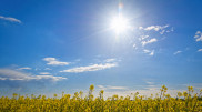 Heat persists: Kazakhstan weather forecast for July 23