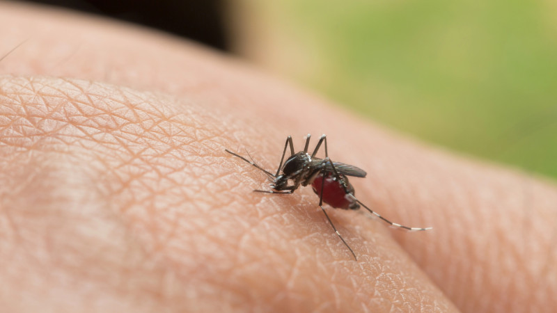 ©️ Depositphotos.com