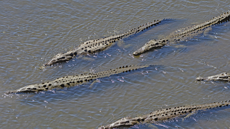 ©️ Depositphotos.com