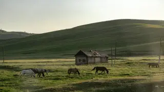 Heat up to +42°C, thunderstorms, and wind: weather in Kazakhstan to change dramatically