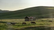 Heat up to +42°C, thunderstorms, and wind: weather in Kazakhstan to change dramatically