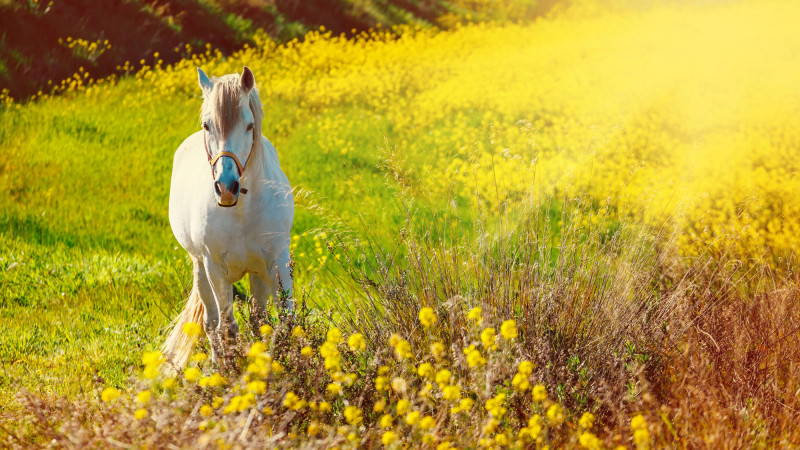 ©️ Depositphotos.com