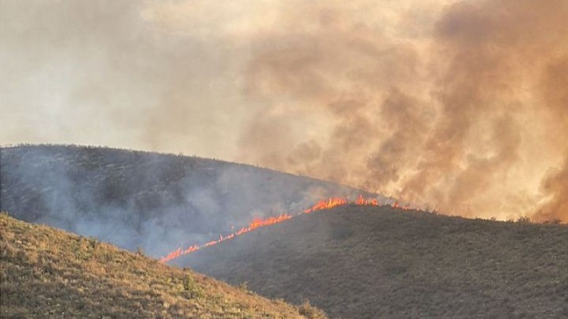 Photo provided by Tengrinews.kz readers