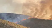 Wildfire spreads across 8 hectares in foothills near Almaty