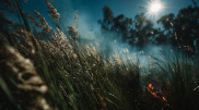 Class 5 fire hazard declared in Almaty