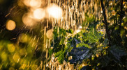 Squally winds and rain will hit Kazakhstan on July 29