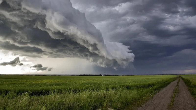 ©️ Depositphotos.com