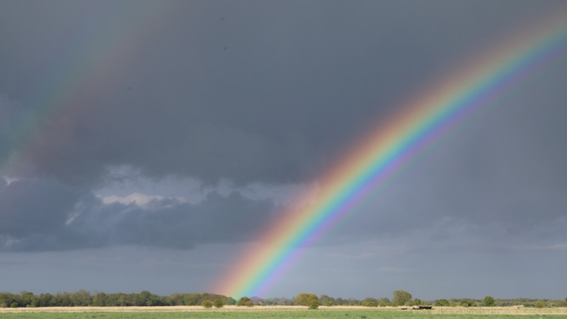 ©️ Depositphotos.com