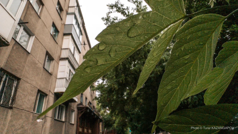 ©️ Tengrinews.kz / Turar Kazangapov