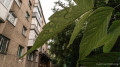 Heat up to +38°C and thunderstorms: weather in Kazakhstan on August 6