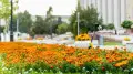 Hot weather up to 36°C: Forecast for Astana and Almaty