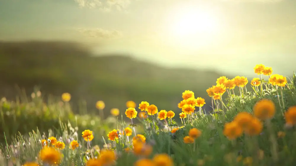 Heat up to 40°C and thunderstorms: Weather forecast for Kazakhstan on August 9