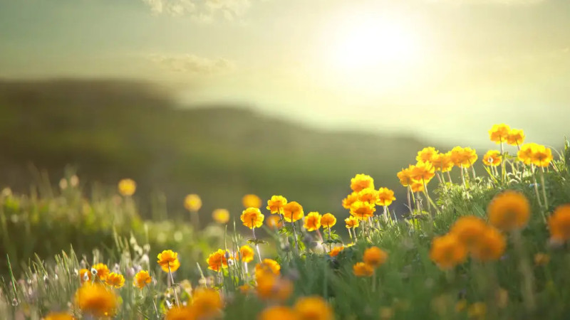 ©️ Depositphotos.com