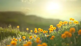 Heat up to 40°C and thunderstorms: Weather forecast for Kazakhstan on August 9