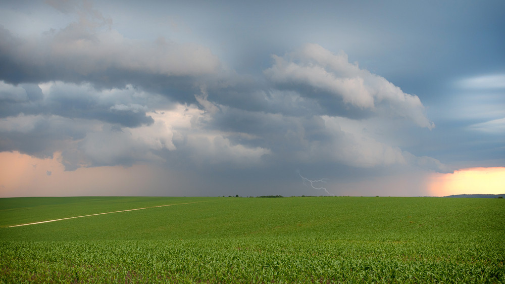 Rains, hail, and heat: Weather across Kazakhstan on August 12