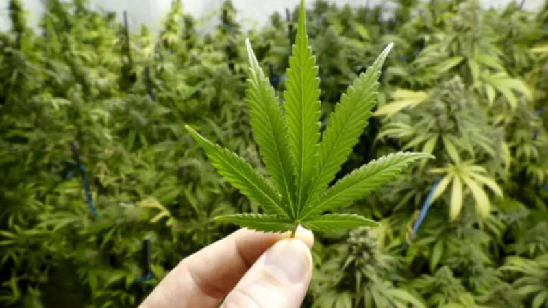 Photo: © Shutterstock