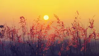 83-year-old temperature record broken in Kazakhstan