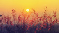 83-year-old temperature record broken in Kazakhstan