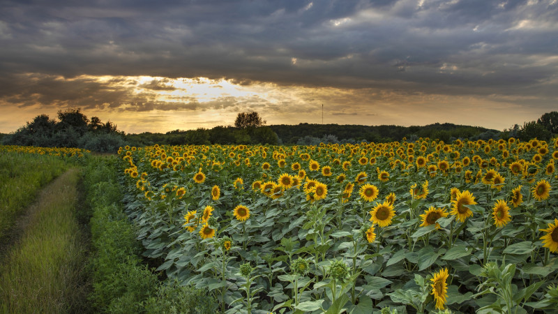 ©️ Depositphotos.com