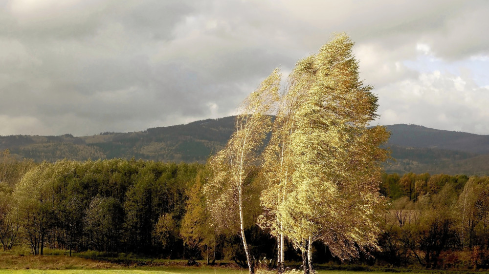 Strong winds and rain in Astana and Almaty: Three-day forecast