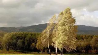 Strong winds and rain in Astana and Almaty: Three-day forecast