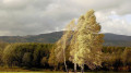 Strong winds and rain in Astana and Almaty: Three-day forecast