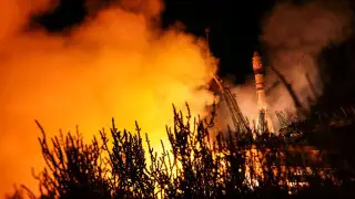 Mice and flies sent from Kazakhstan into space – new data on their condition