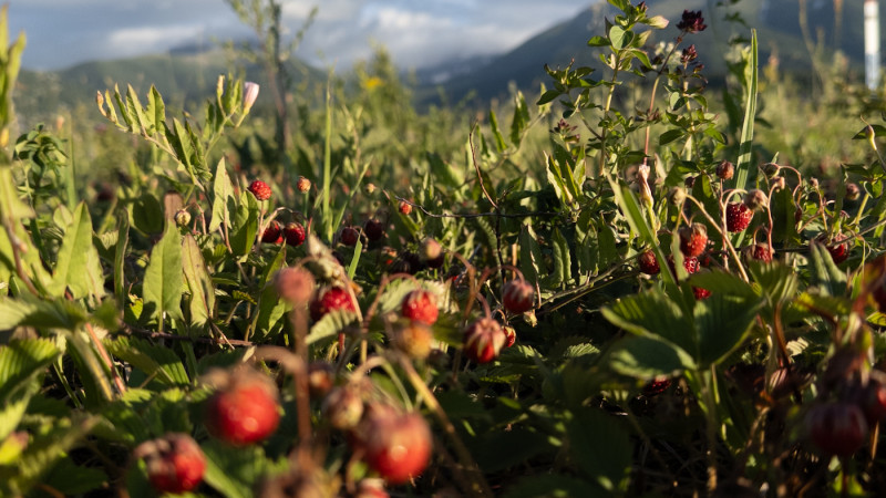 ©️ Tengrinews.kz / Turar Kazangapov