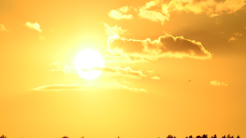 ©️ Depositphotos.com