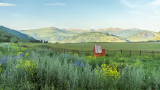 Abnormal heat up to +40°C to hit Kazakhstan on August 27