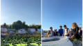 New stadium in Almaty: design sketches, location, and construction start