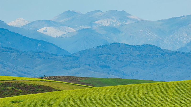 Photo: instagram.com/dots_foto