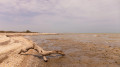 Tokayev warns of looming ecological disaster in the Caspian Sea