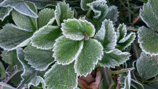 Kazakhstanis warned of frost: weather forecast for September 3