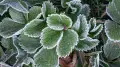 Kazakhstanis warned of frost: weather forecast for September 3