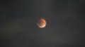 “Blood Moon”: Kazakhstanis witness rare astronomical phenomenon
