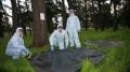Scientists discover new potentially dangerous virus in bats – media