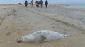 Save the Caspian Sea petition collects over 50,000 signatures