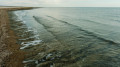 Northern Aral is reviving: Kazakhstan has directed billions of cubic meters of water