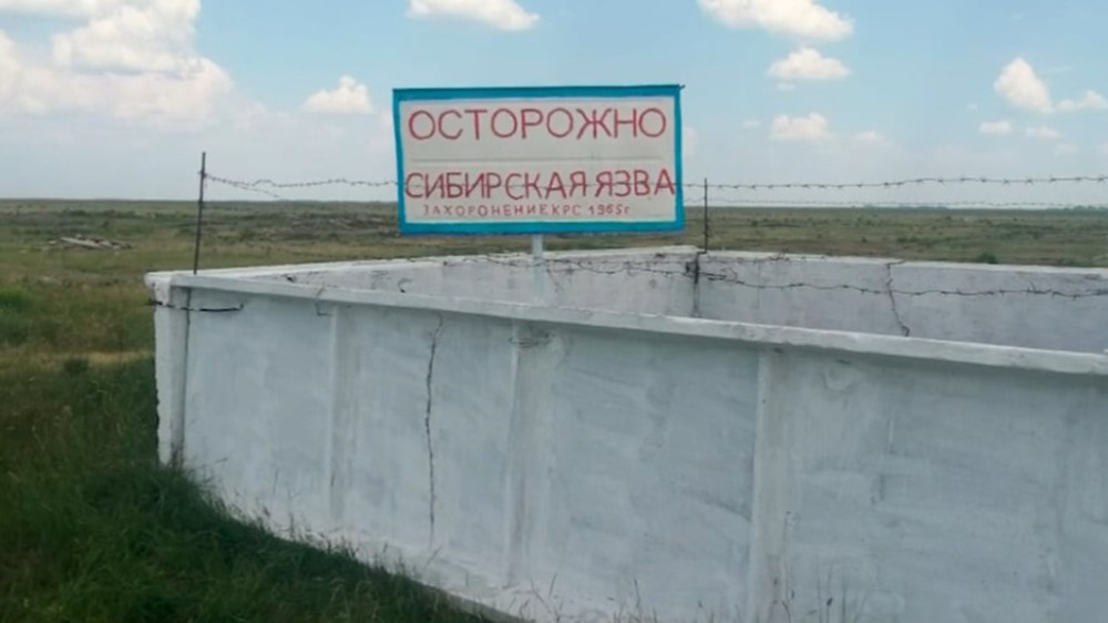 Probable cause of anthrax outbreak in Akmola region revealed