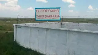 Probable cause of anthrax outbreak in Akmola region revealed