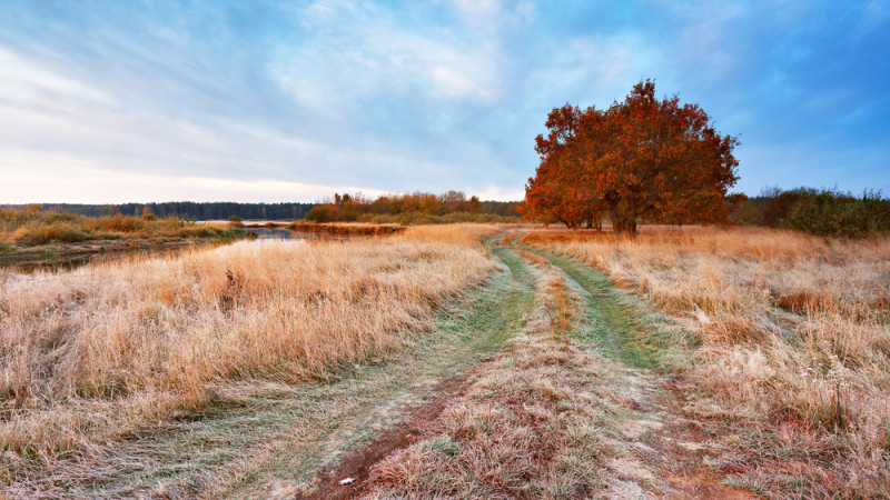 ©️ Depositphotos.com