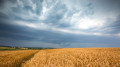 Strong winds and thunderstorms to hit Kazakhstan