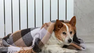 Condition for the 'immediate' start of heating named in Almaty