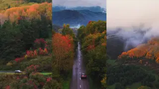 Golden autumn in East Kazakhstan from a bird’s-eye view – mesmerizing video